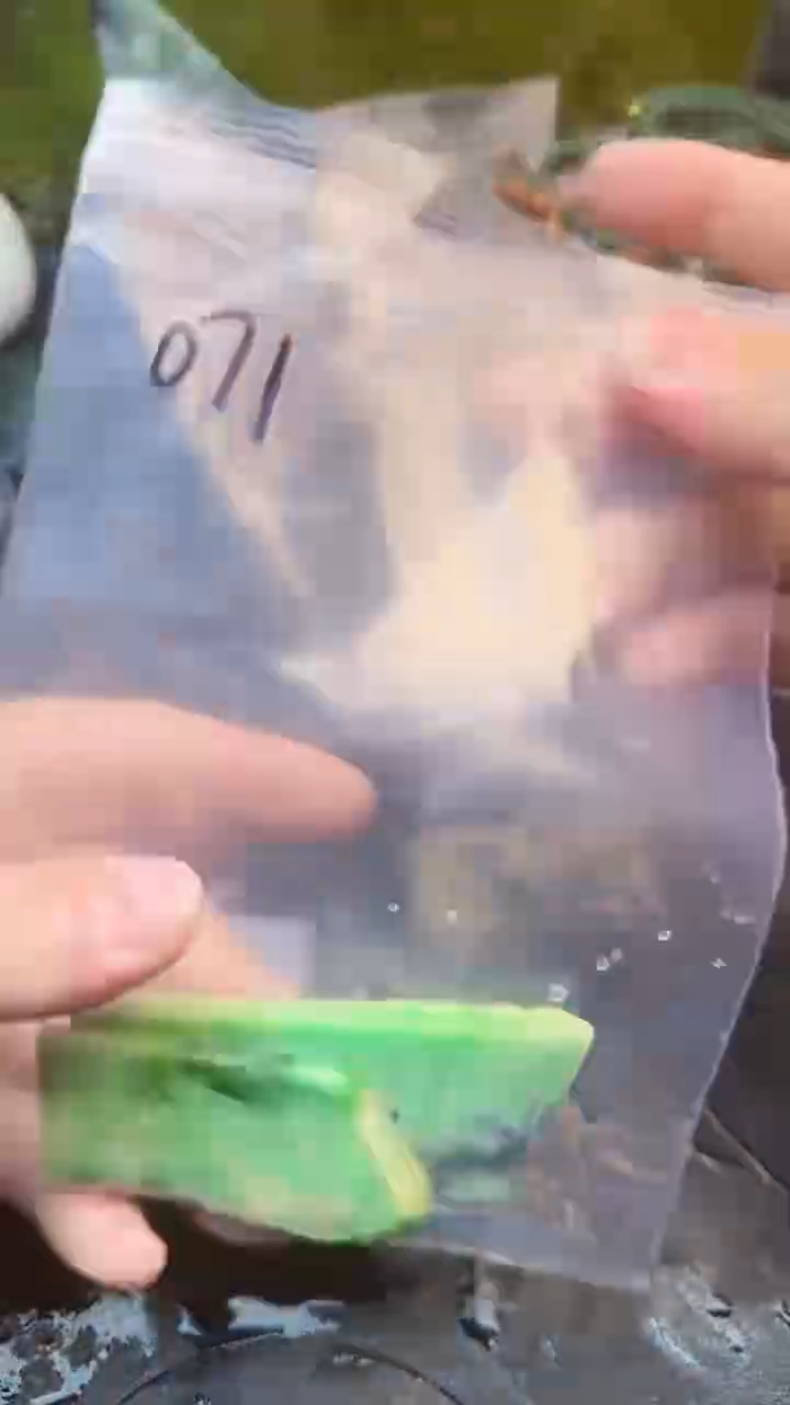 【闪购商品】翡翠颈饰未镶嵌071天然翡翠