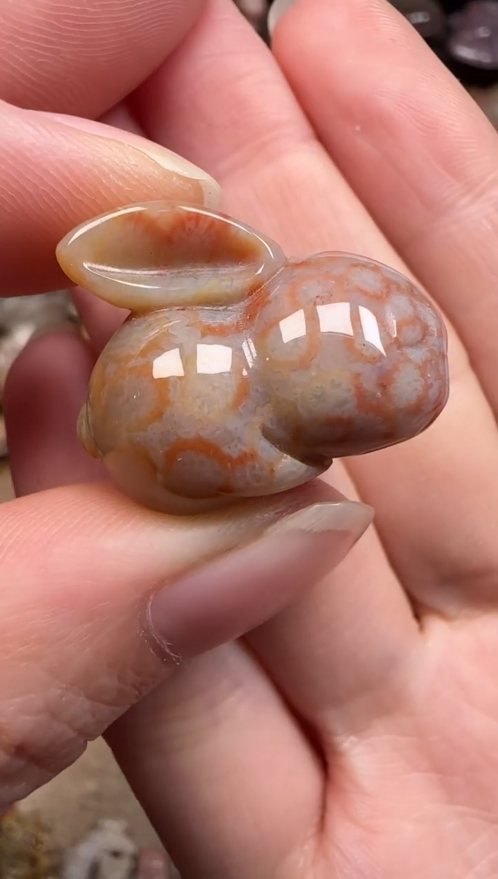 硅化珊瑚（珊瑚玉）未镶嵌颈饰381