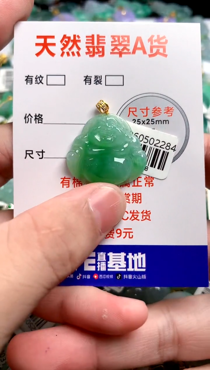 翡翠18K金镶嵌颈饰0482955801