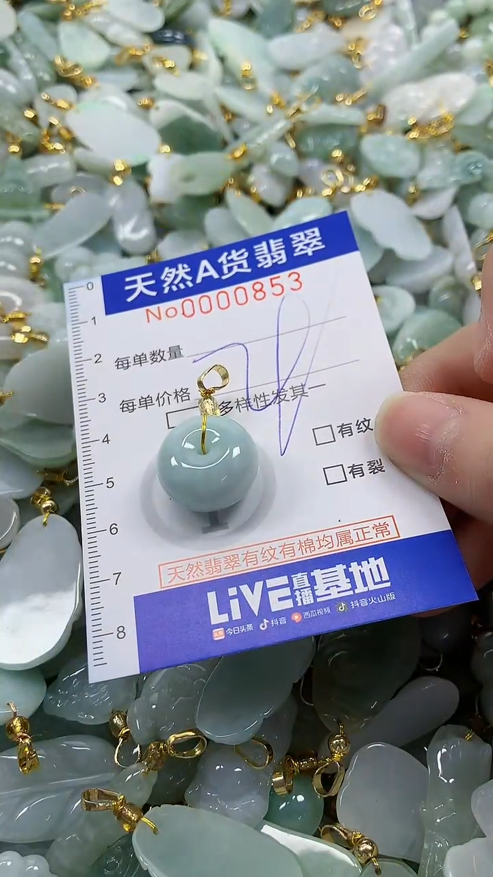 颈饰未镶嵌翡翠纯天然a货翡翠