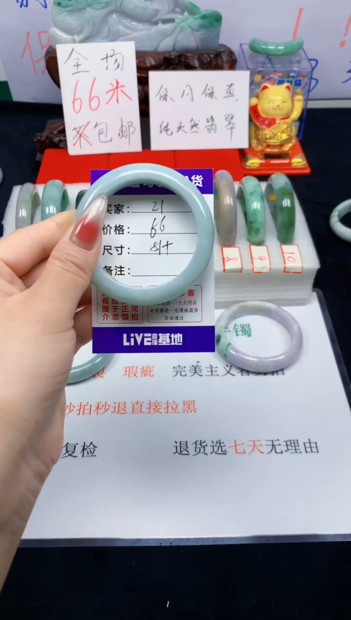 未镶嵌手镯翡翠21