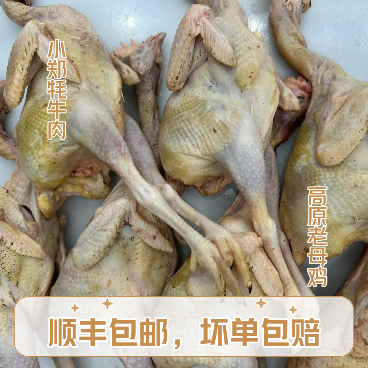 【俊林清真高原老母鸡】清真手工产地直销京东包邮到家