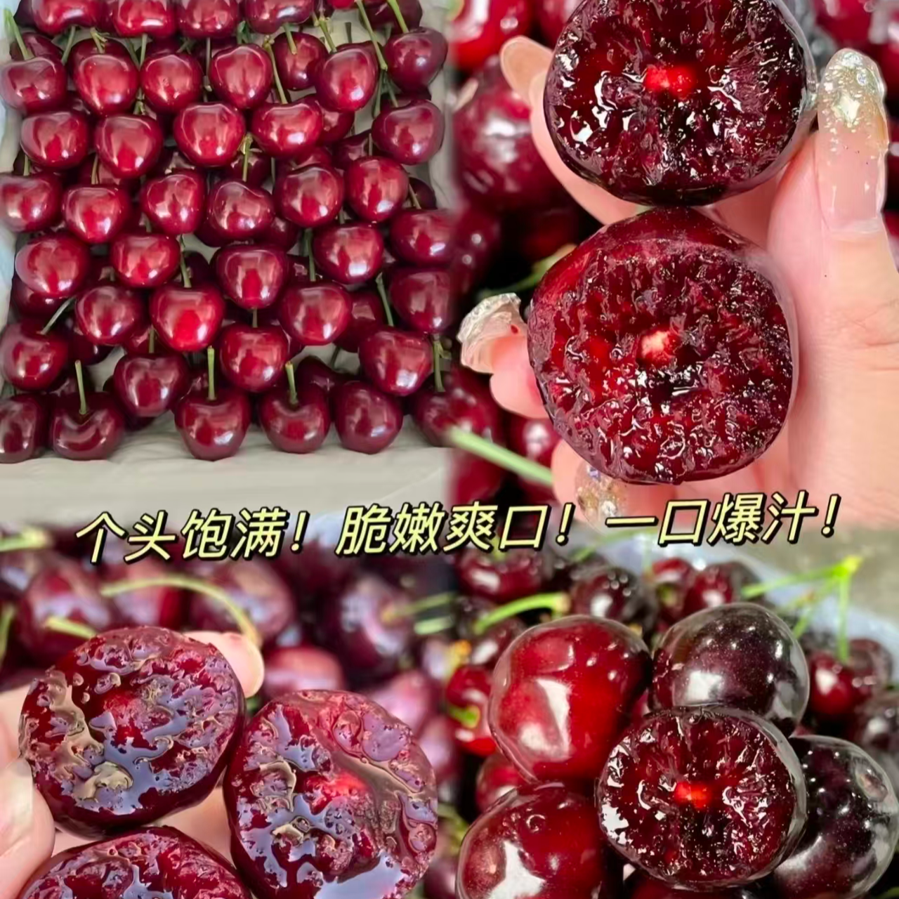 【不虚标】空运智利桑提娜车厘子4JD 1-5斤桑提娜智利桑提娜智利