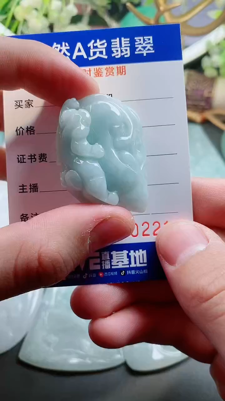 【闪购商品】翡翠颈饰未镶嵌天然A货翡翠一件