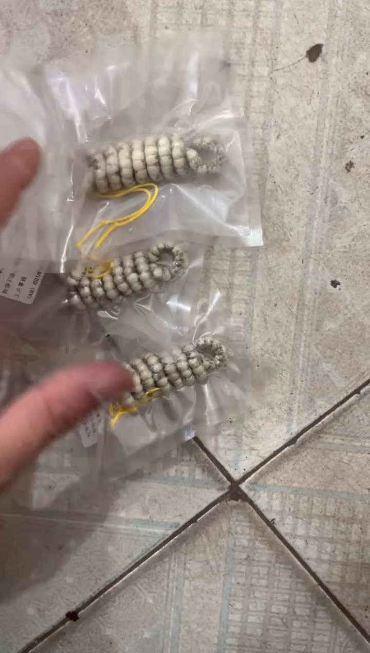 星月菩提手串海南星月菩提《X9》6X5大肠