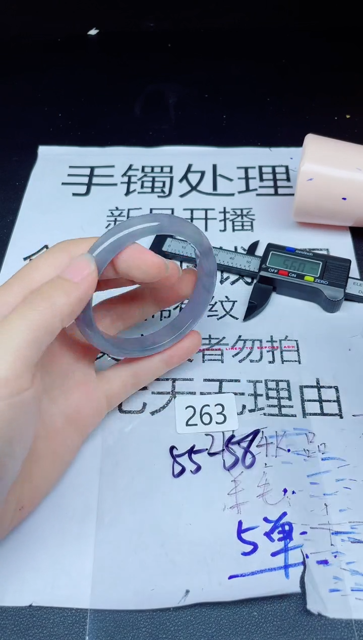 未镶嵌手镯翡翠263