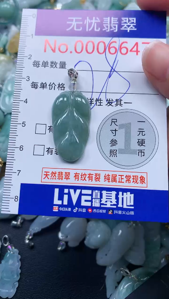 颈饰未镶嵌翡翠6647