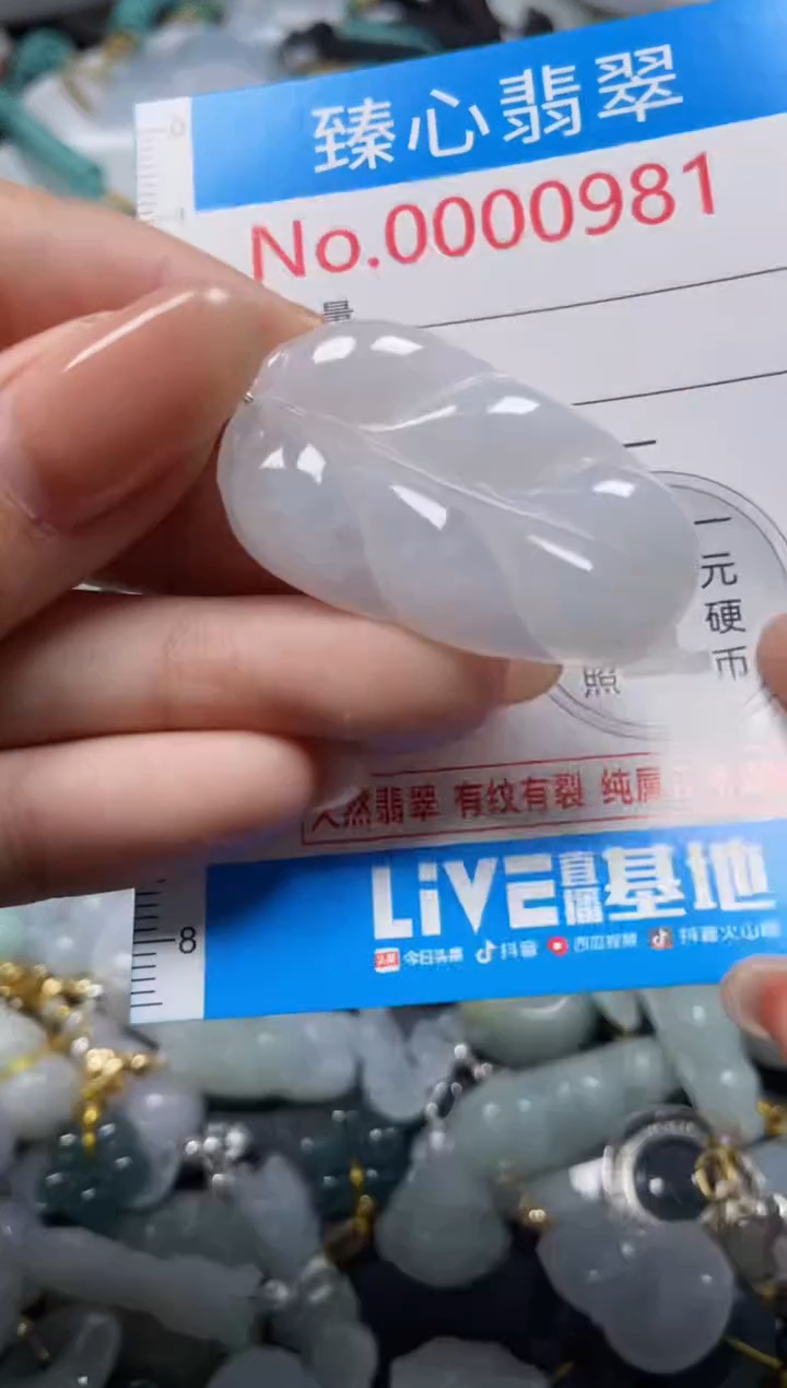 颈饰未镶嵌翡翠981