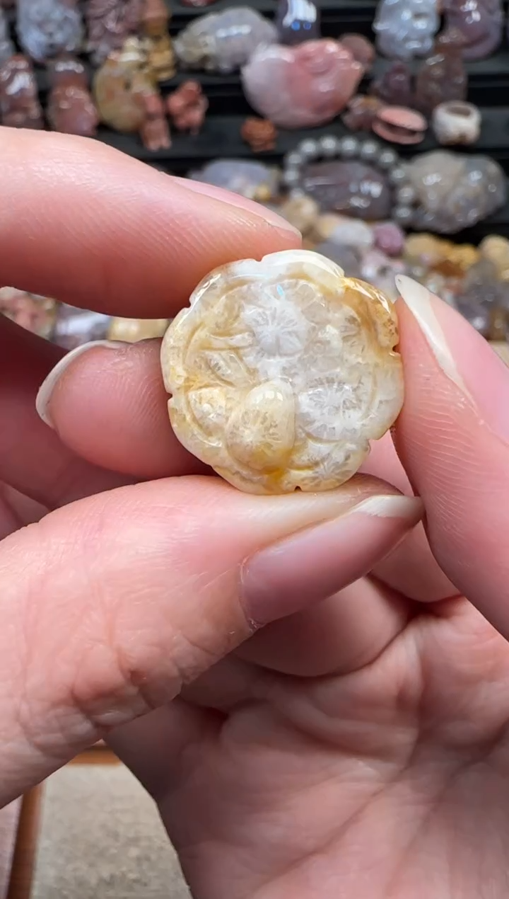 颈饰未镶嵌硅化珊瑚（珊瑚玉）828