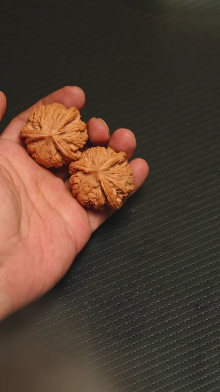 开播福利御龙粗筋全品40