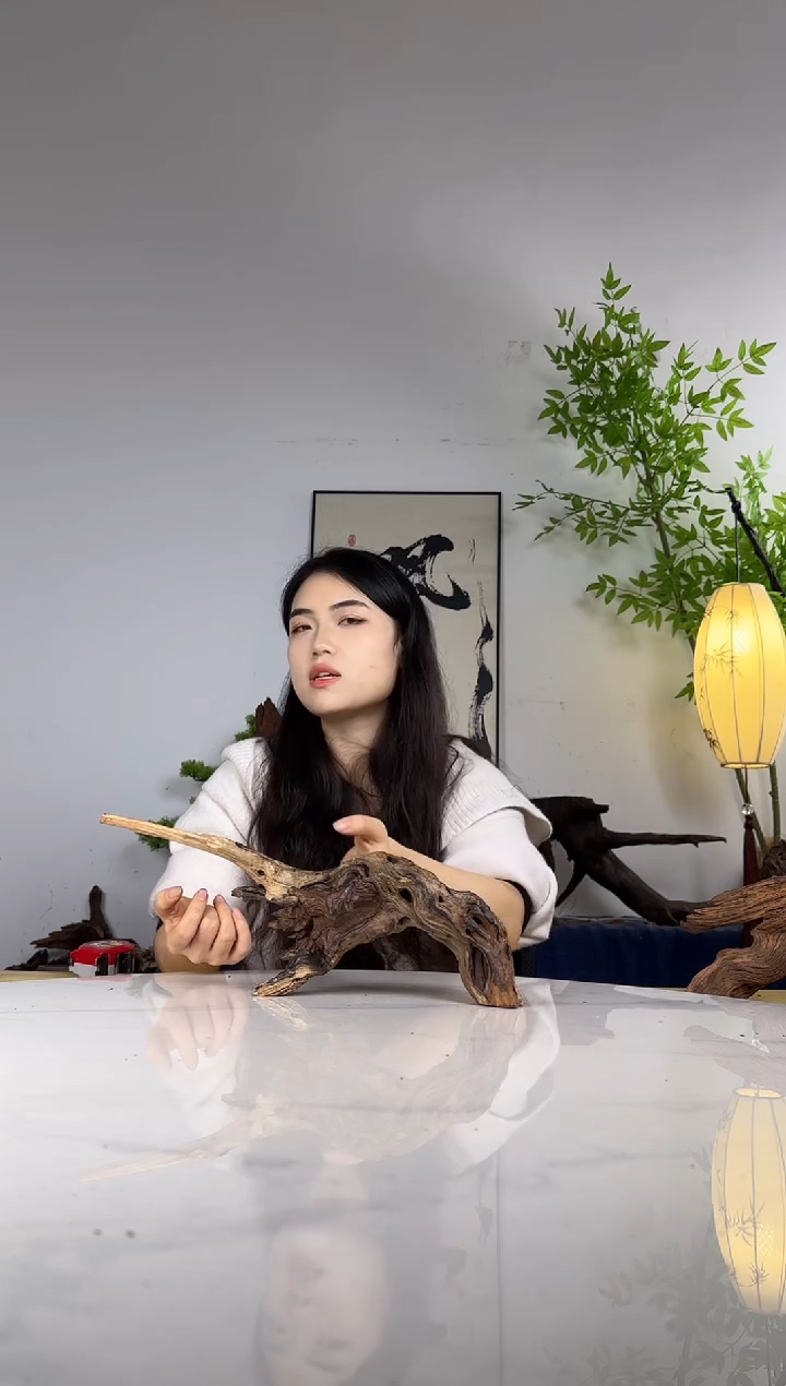 大****白拍沉木定向链接编号76