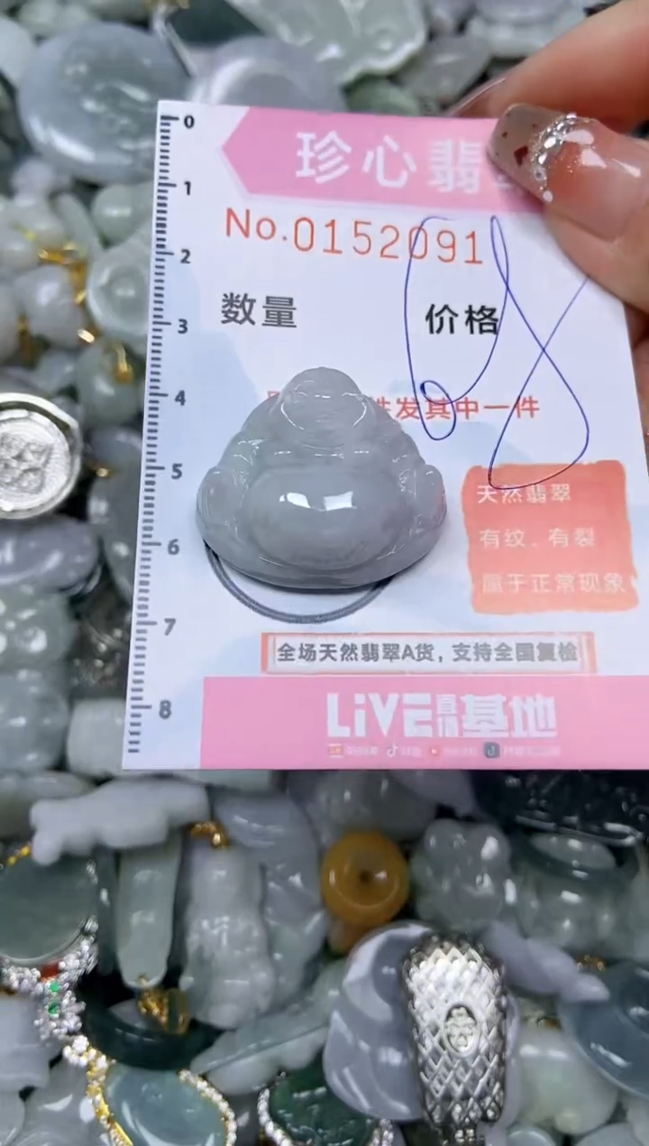 【闪购商品】翡翠颈饰未镶嵌闪购链接0152091