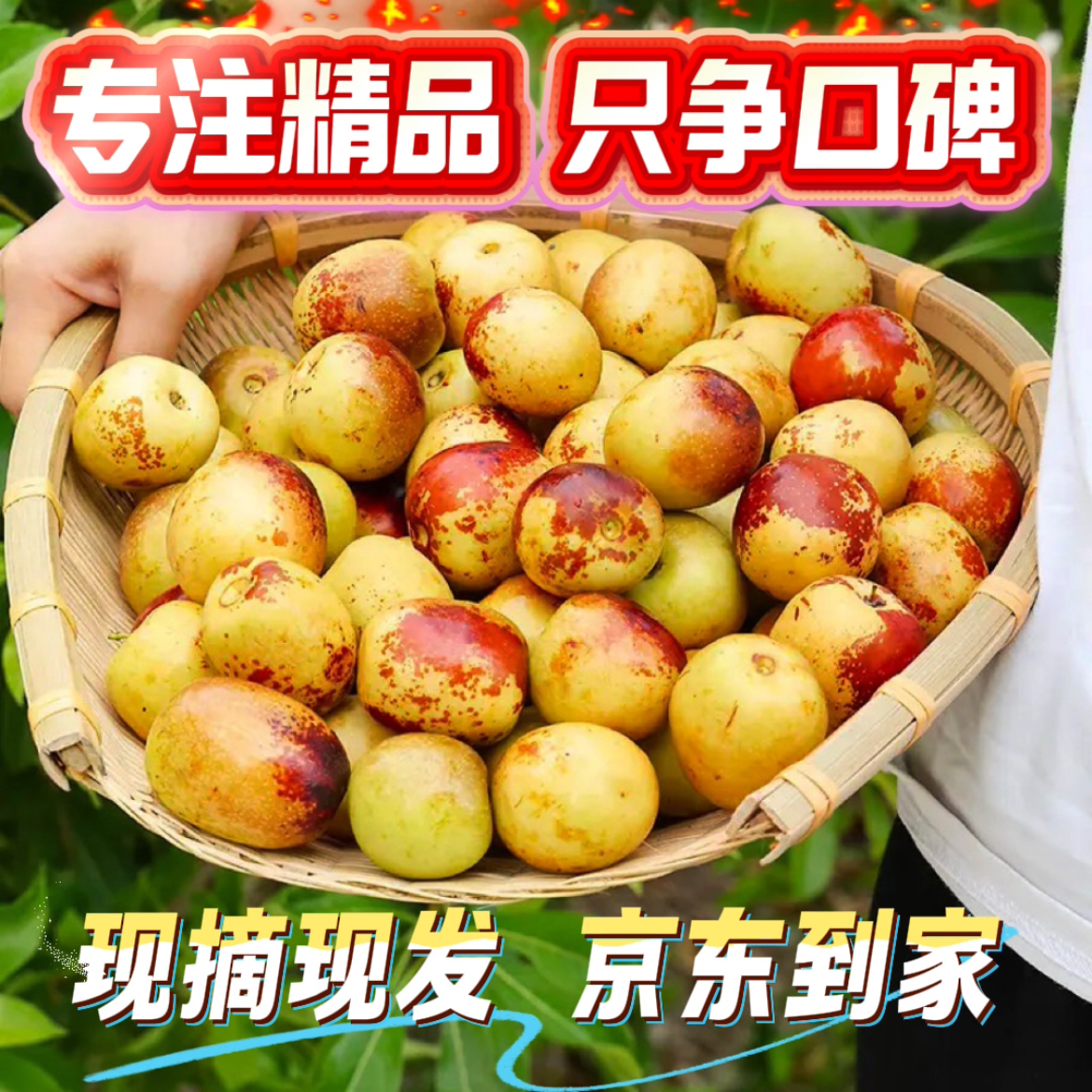 5斤装陕西大荔冰糖脆甜冬枣产地直发京东包邮