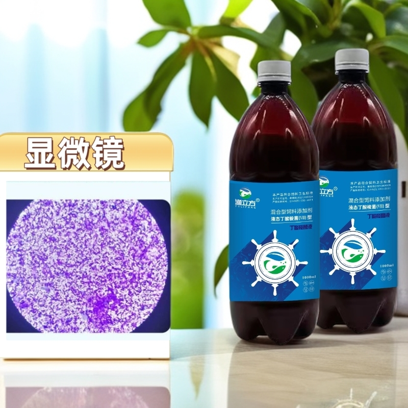 渔立方丁酸梭菌水产养殖专用改善肠道预防肠炎白便空肠空胃