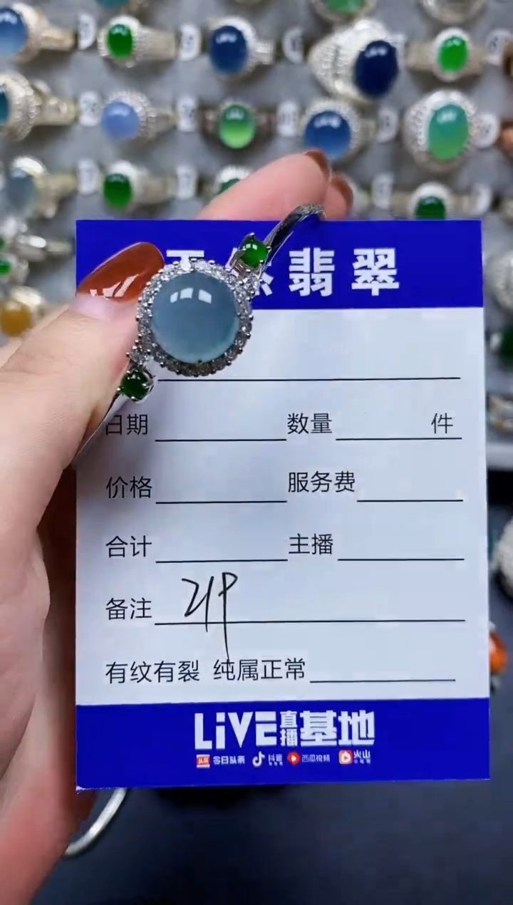 翡翠手镯银S925镶嵌219