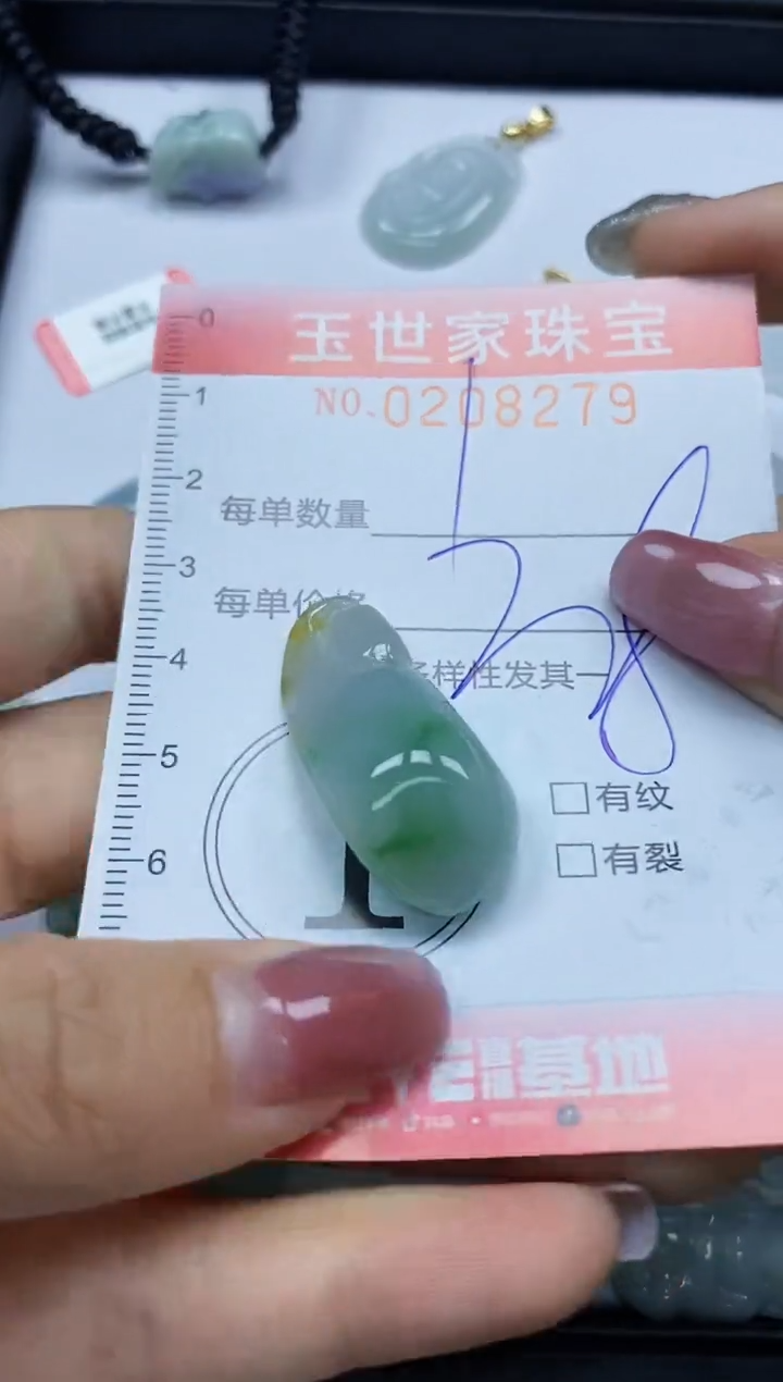 【闪购商品】翡翠颈饰未镶嵌闪购0208279