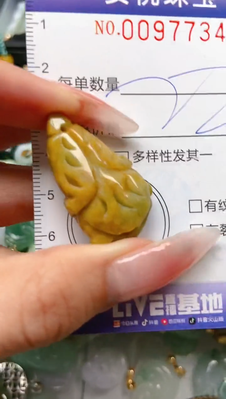 【闪购商品】翡翠颈饰未镶嵌闪购0097734