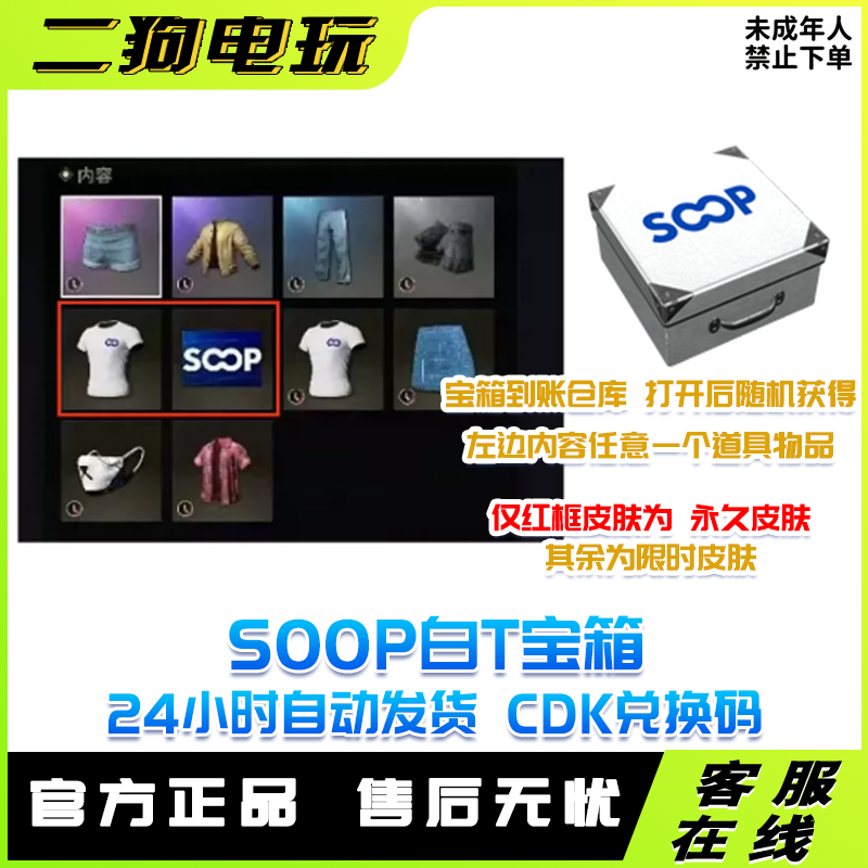 steam绝地求生PUBG皮肤SOOP宝箱白T宝箱CDK兑换码