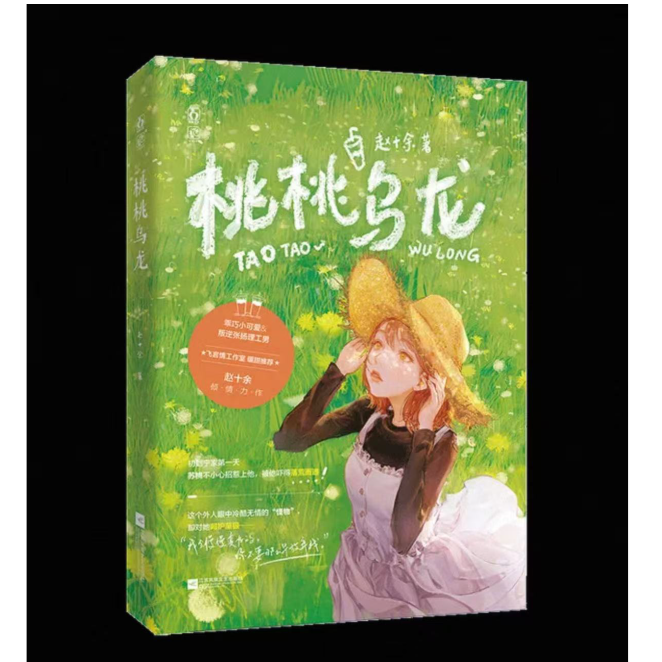 微瑕 桃桃乌龙正版小说