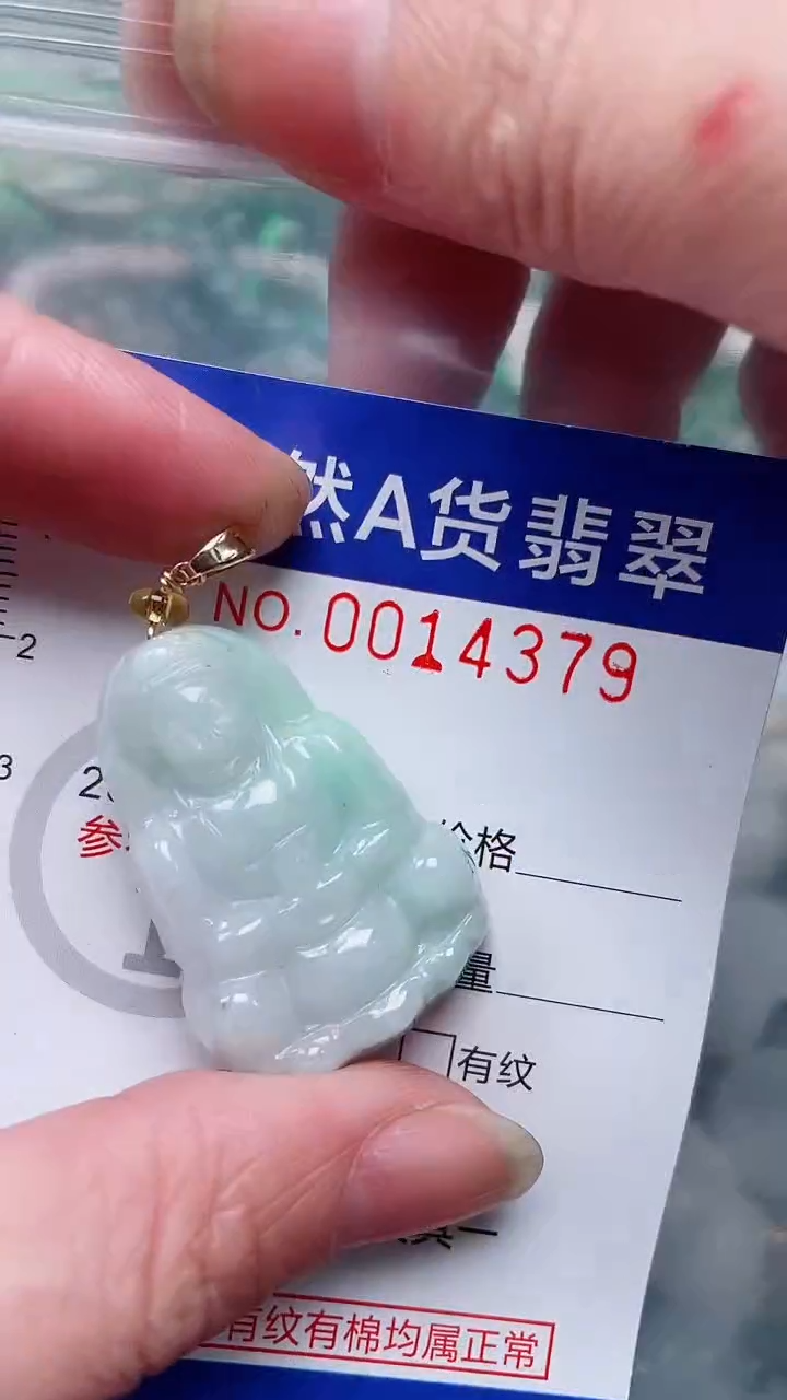 翡翠未镶嵌吊坠(赠链)1