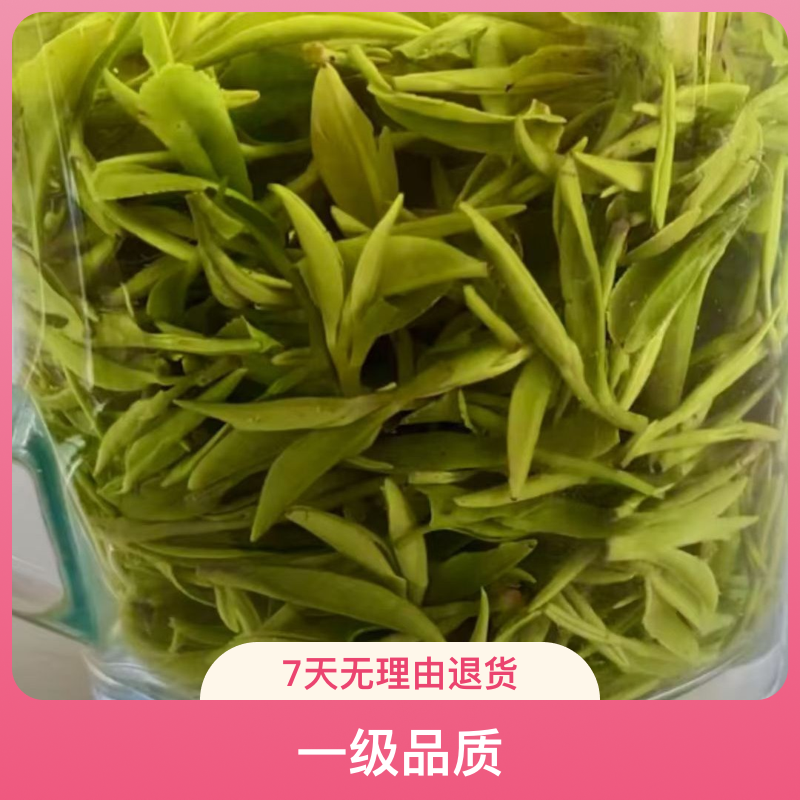 信阳明前小嫩芽高山绿茶清香兰花香新茶
