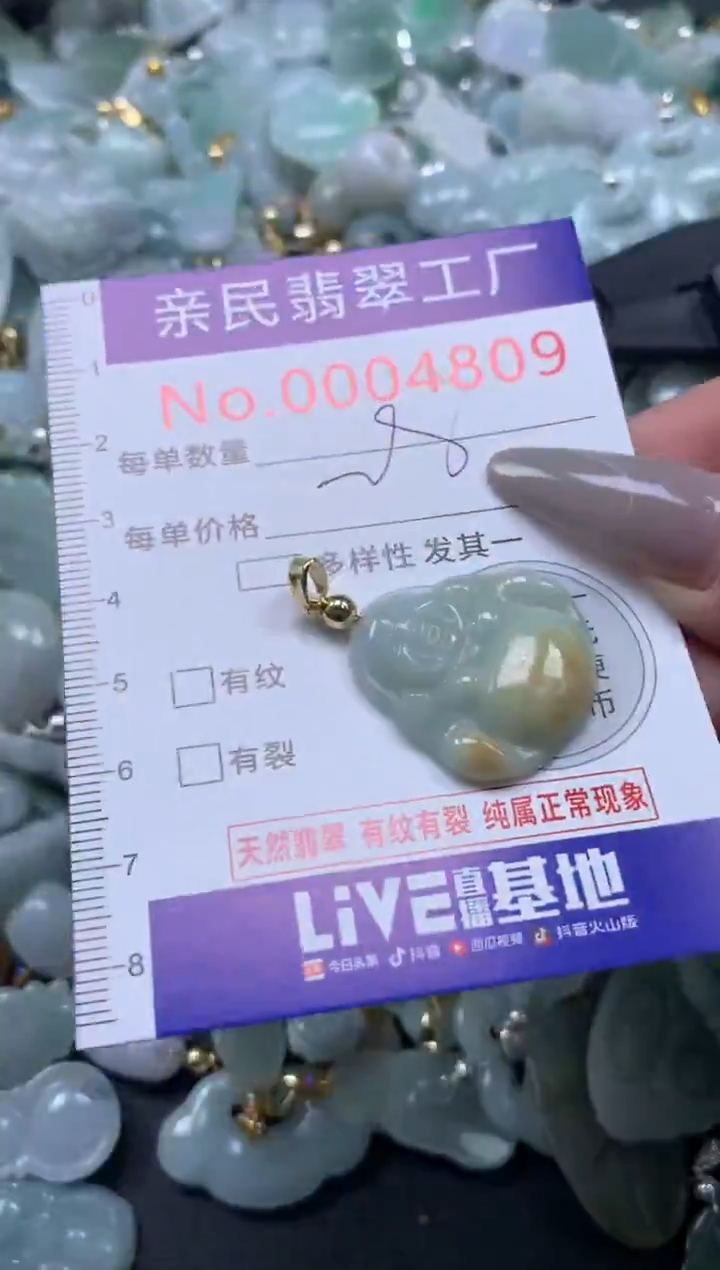 颈饰未镶嵌翡翠4809