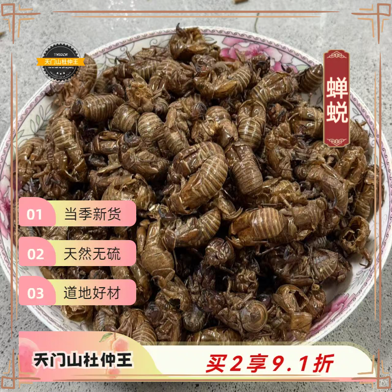 【天门山杜仲王】蝉蜕 山东道地直采 天然无硫