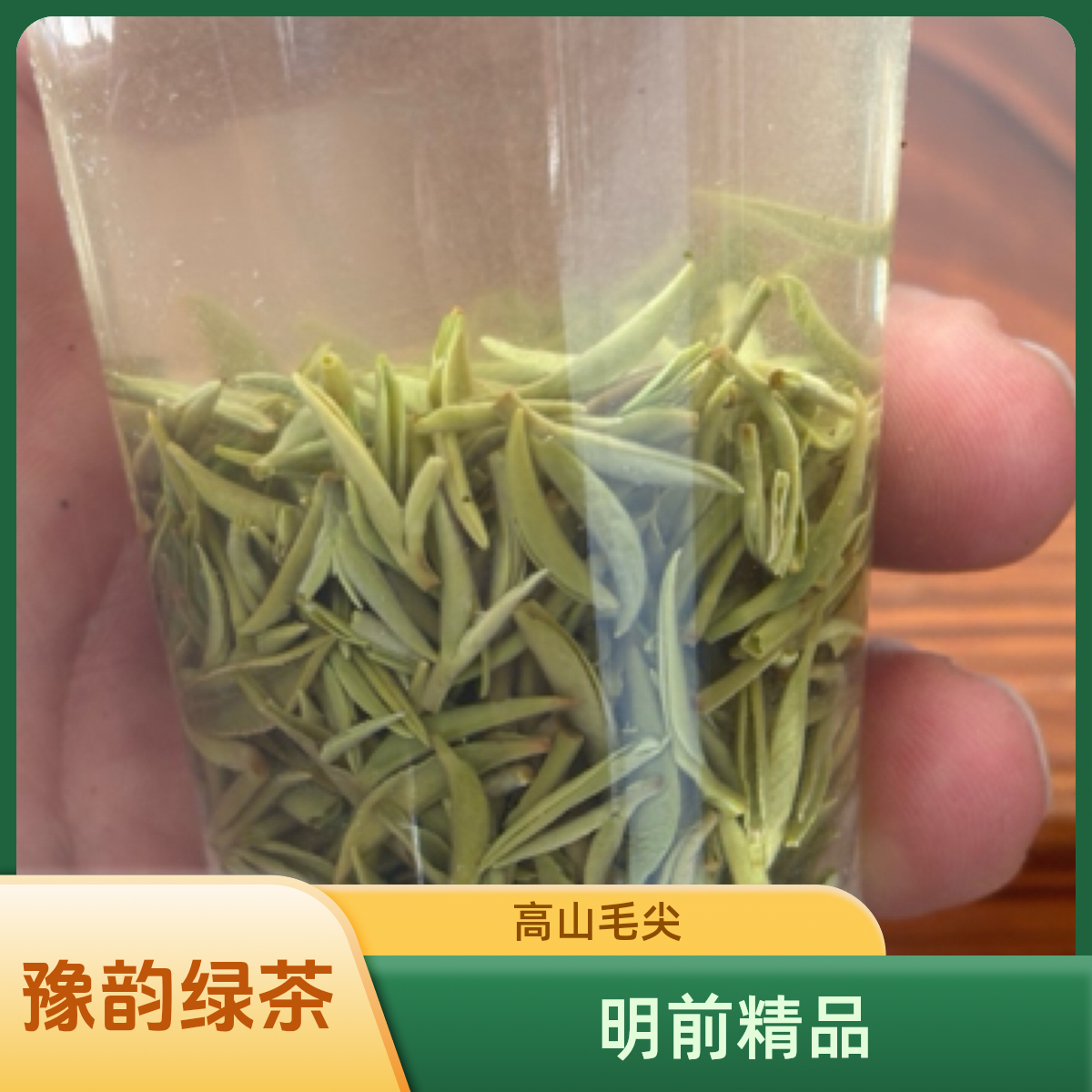 豫韵2025明前茶精品小芽信阳毛尖茶绿茶正宗高山茶叶浉河港镇