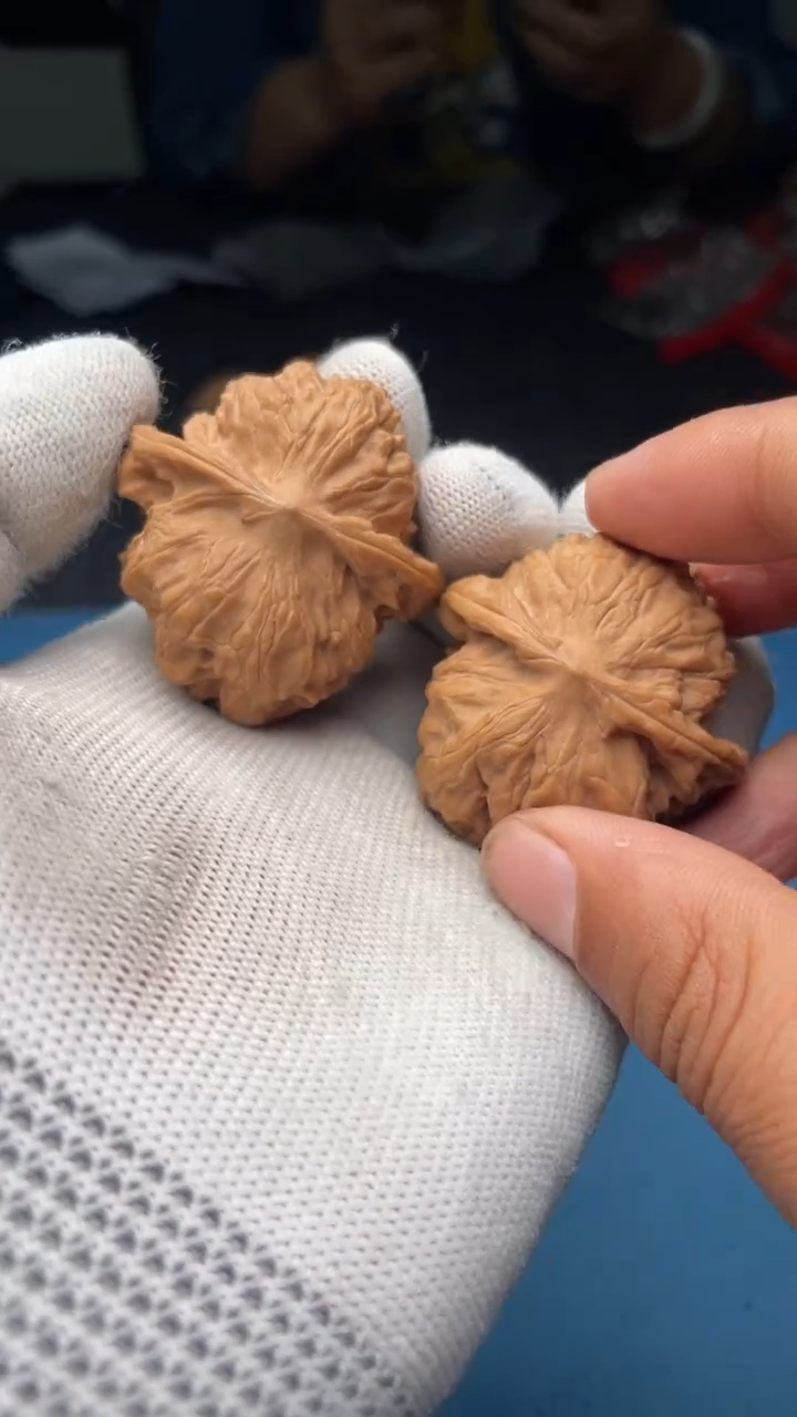 文玩核桃把件a186野狼41尺