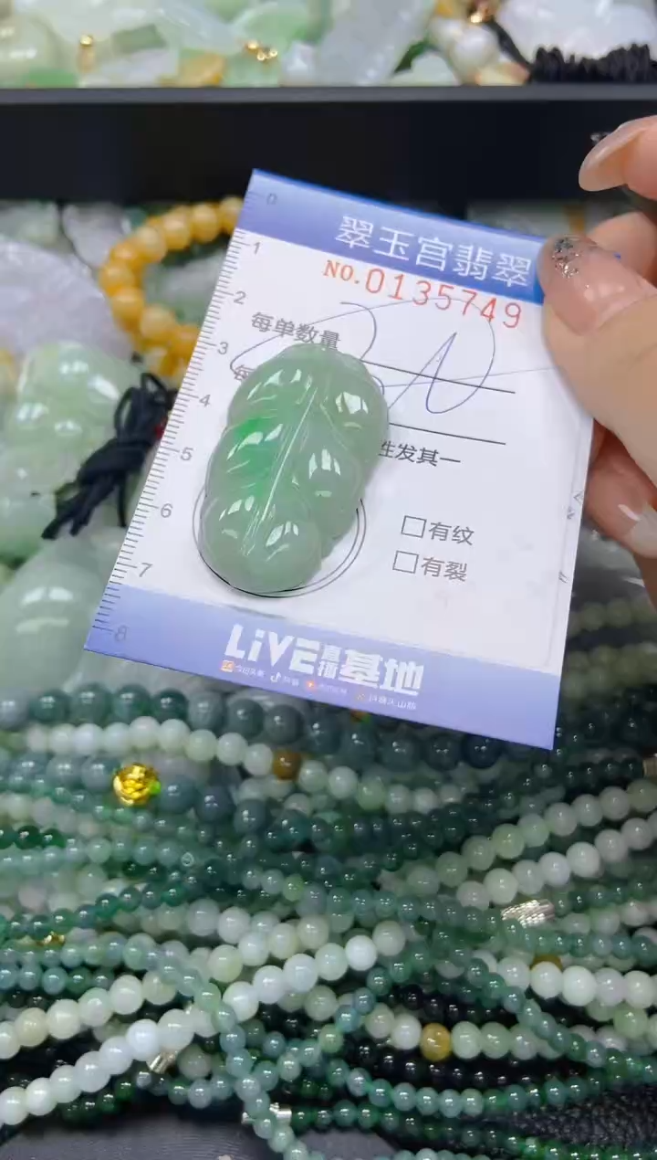 翡翠未镶嵌颈饰闪购0135749