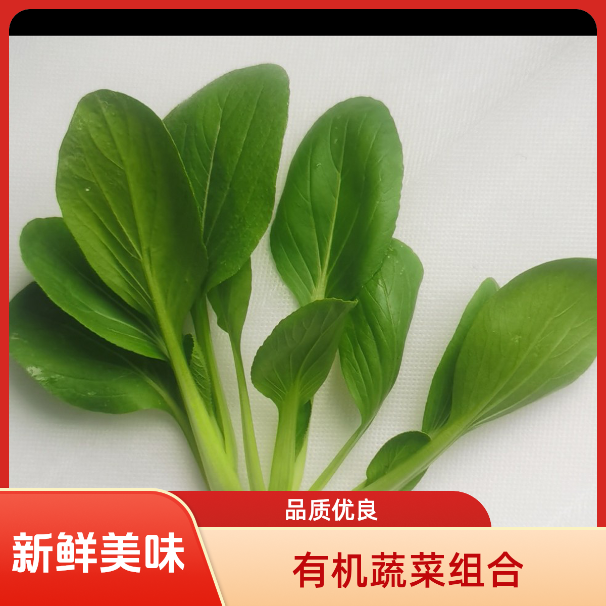 有机蔬菜组合（小油菜500克韭菜500克小白菜500克(李琬有机菜)