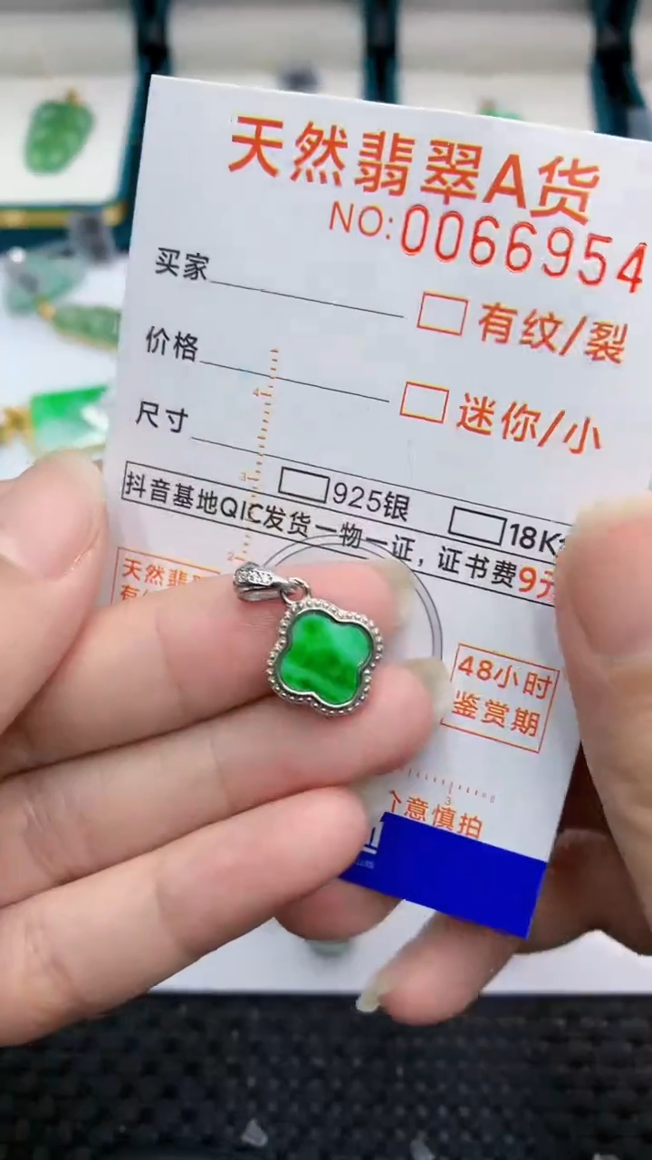 【闪购商品】翡翠颈饰银S925镶嵌            8