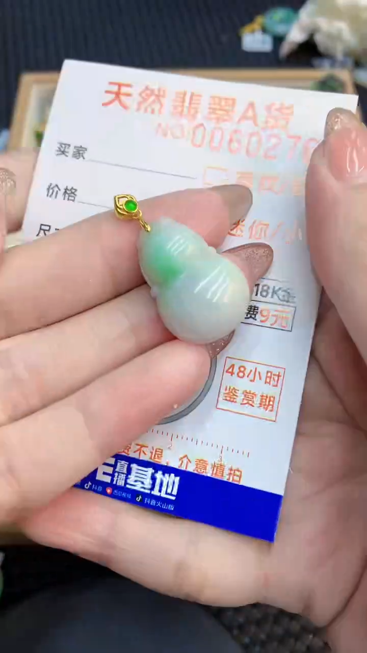 翡翠银S925镶嵌颈饰            8