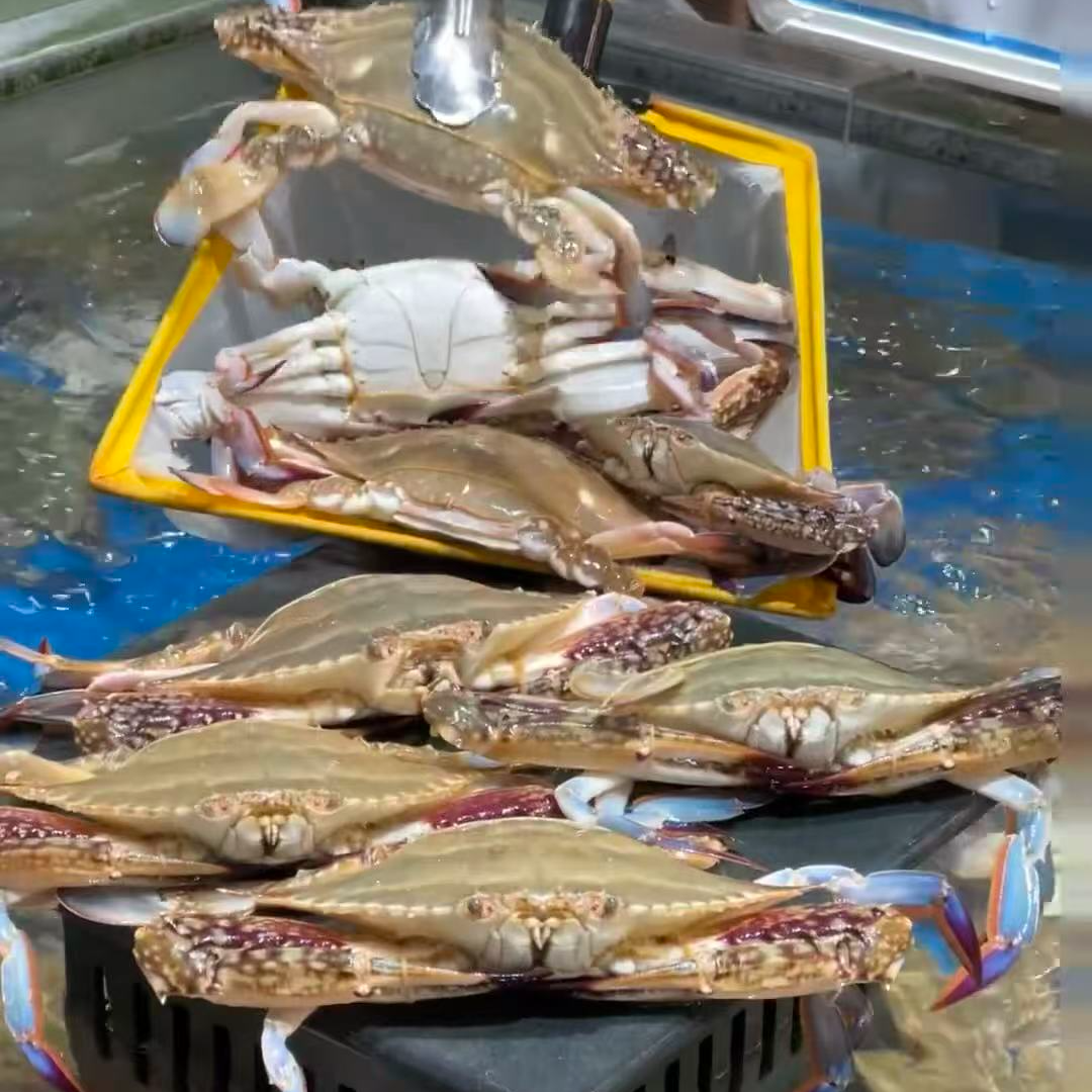 舟山生腌小梭仔蟹2桶1600g 专供五星级饭店 顺丰冷链包邮
