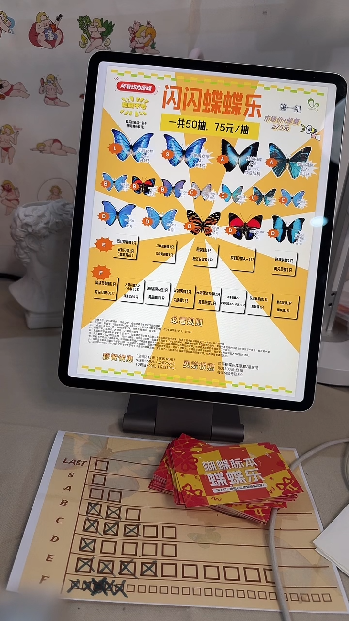 大蓝闪蝶A2等级原蝶1只