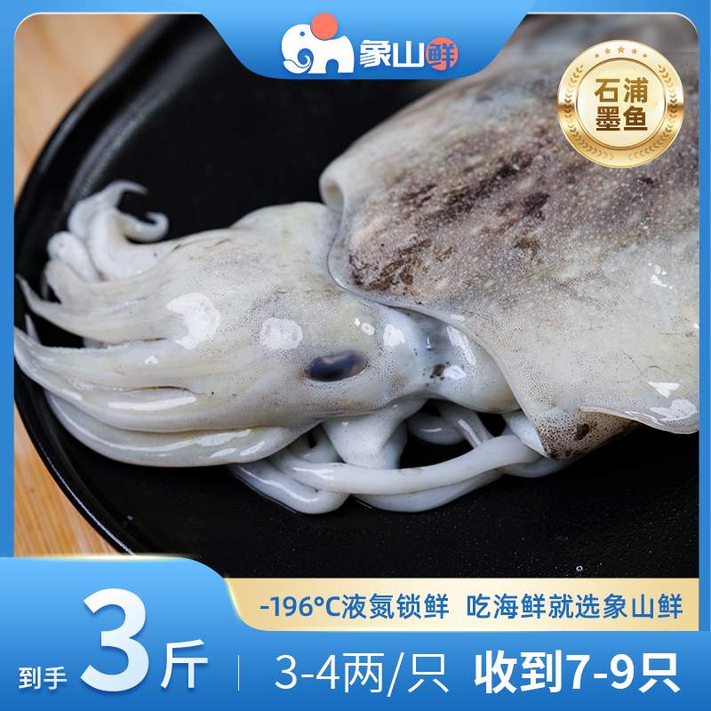 象山鲜东海捕大墨鱼液氮锁鲜3-4两海鲜水产码头发货3斤