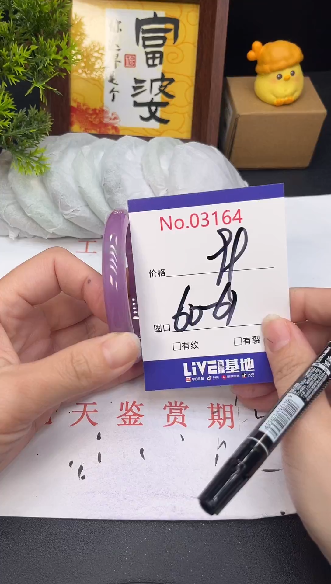 未镶嵌手镯翡翠3164