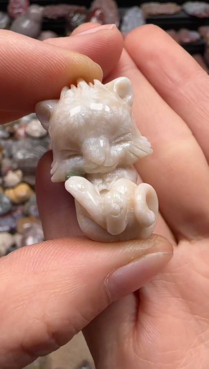 【闪购商品】硅化珊瑚（珊瑚玉）颈饰未镶嵌627