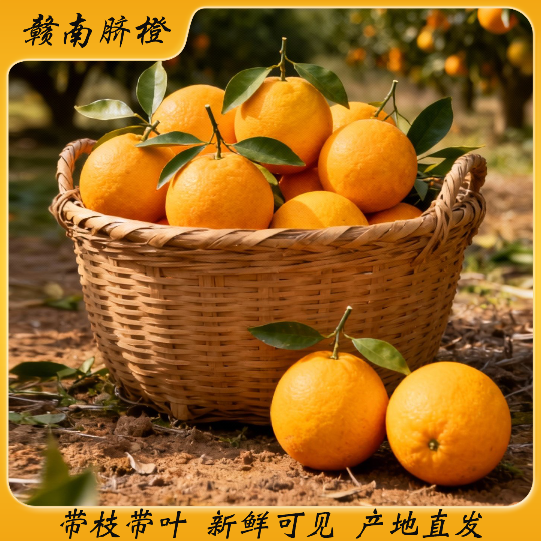 正宗赣南脐橙新鲜采摘带枝发货自然树熟应季水果多汁爆甜包邮