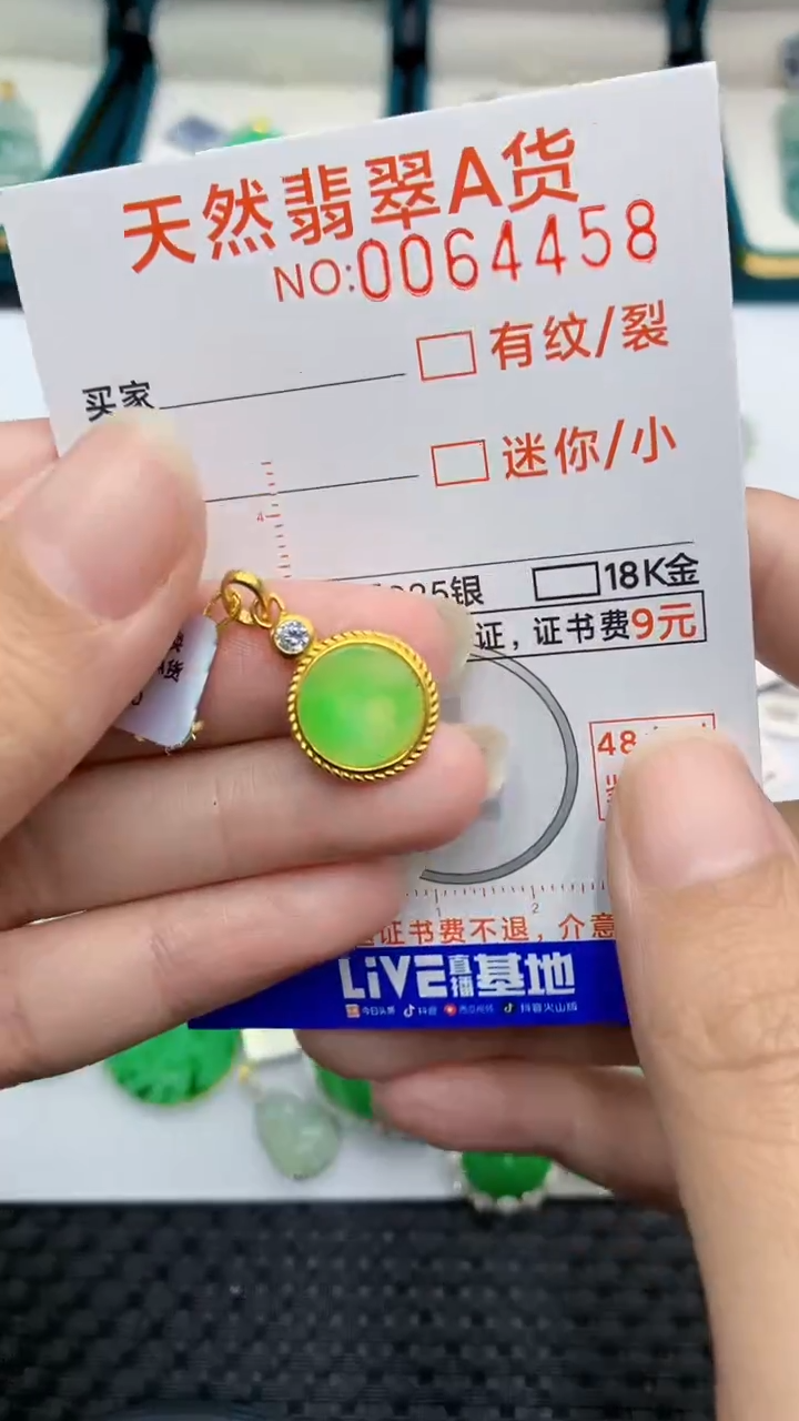 【闪购商品】翡翠颈饰银S925镶嵌            8