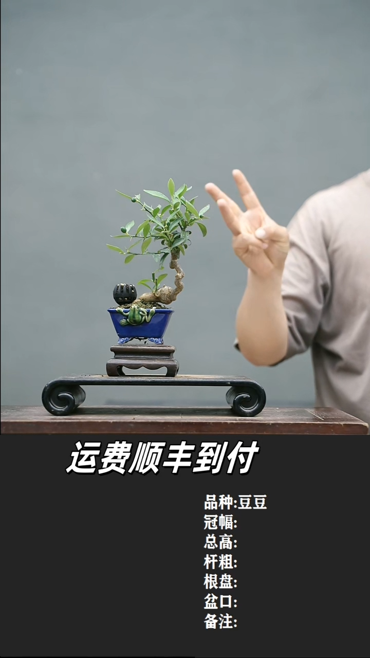 勇**人4 豆豆       