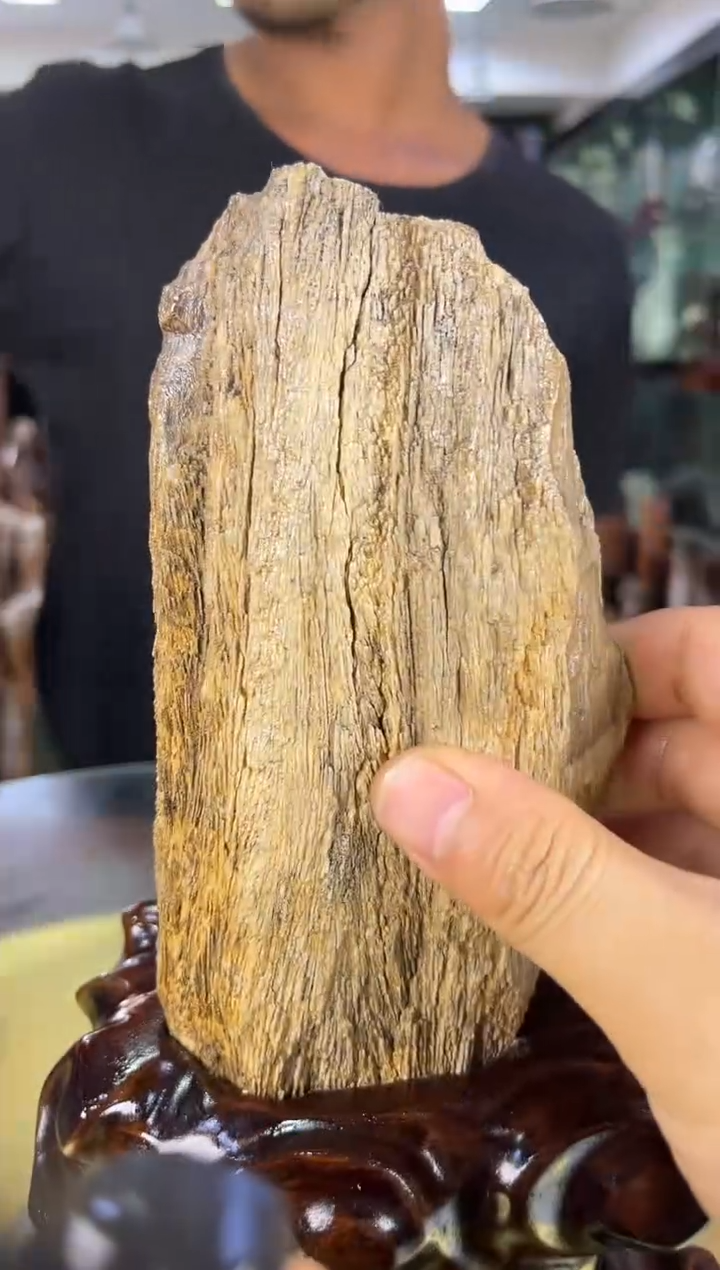 缅甸天然树化玉摆件