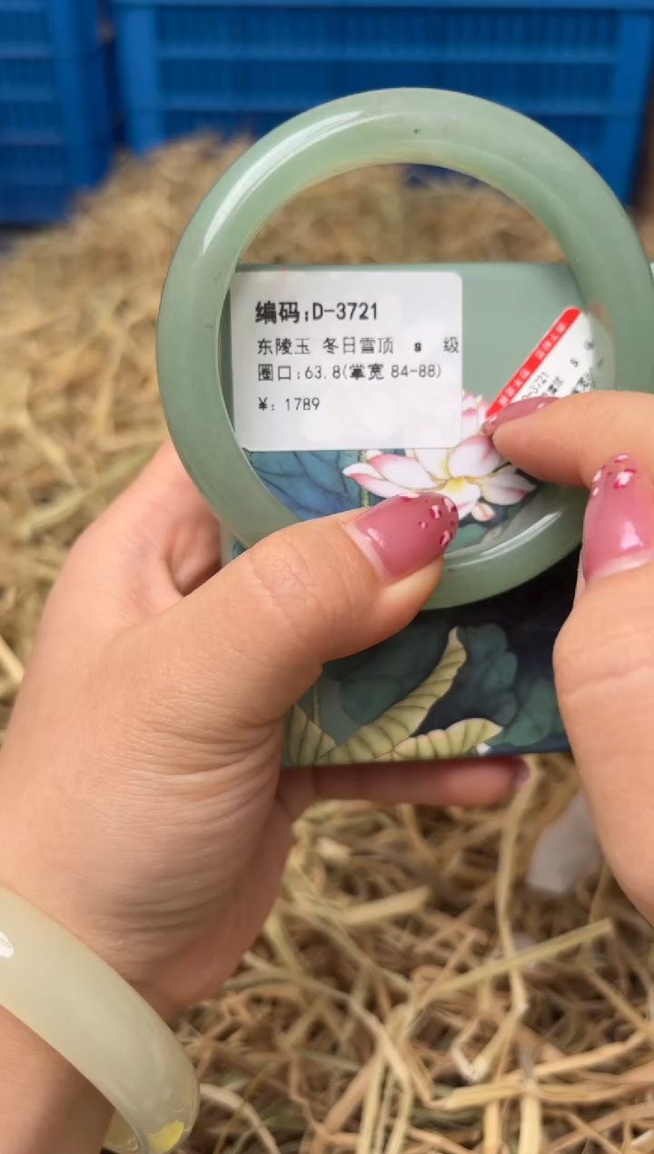 未镶嵌手镯石英质玉D-3721