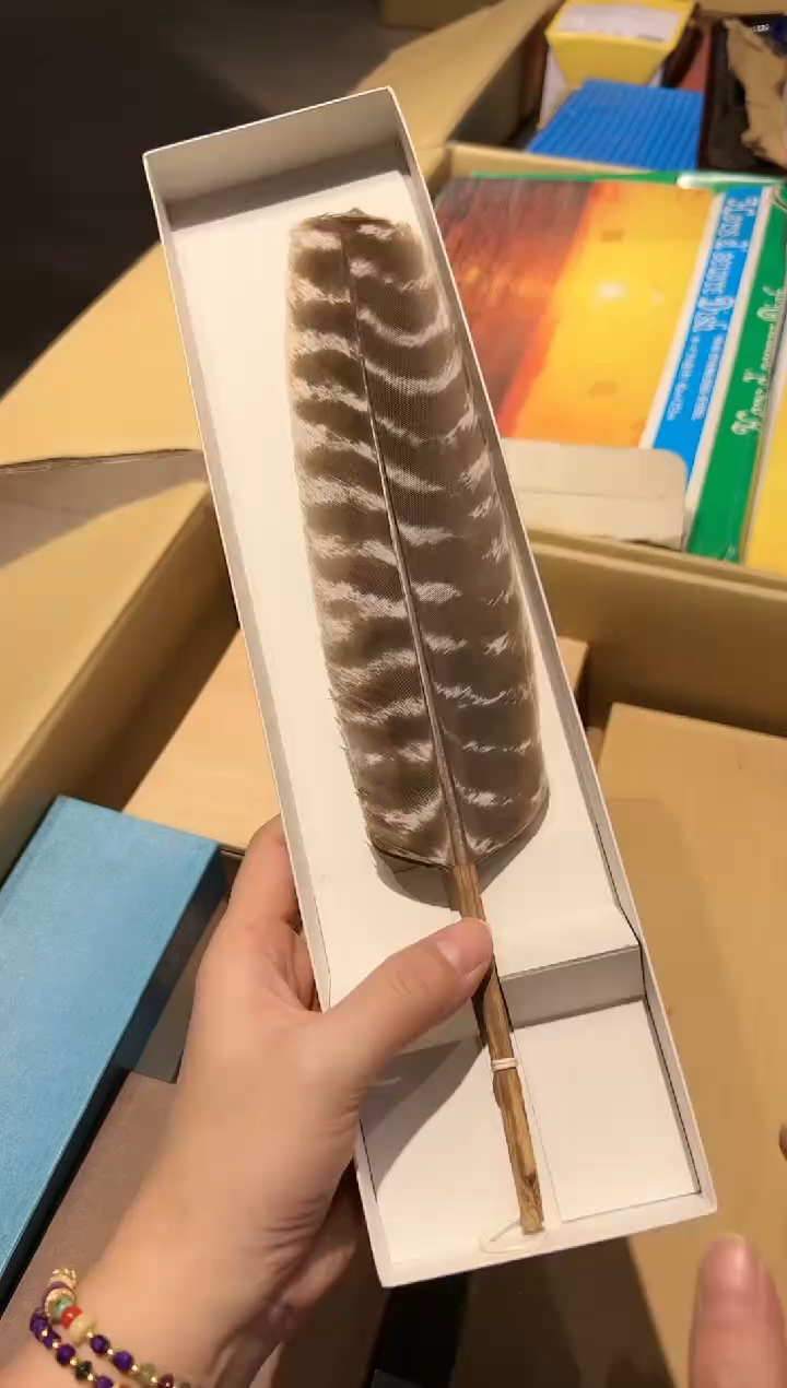 【闪购商品】瓷片 啊啊啊啊啊啊啊啊