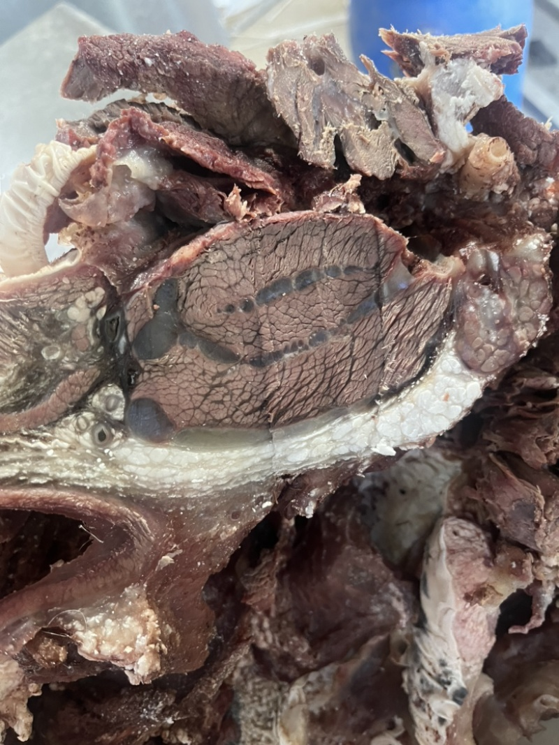 四斤酱香全熟牛头肉开袋即食