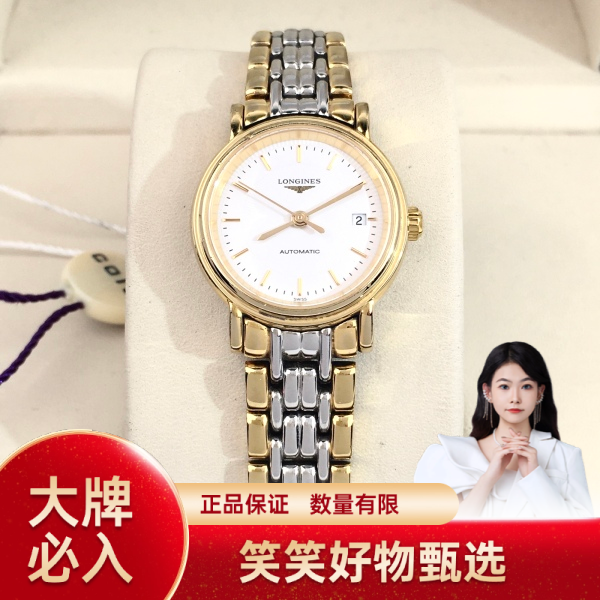 浪琴/自动机械/95新/表径25/S99241017039/250209YQ0018