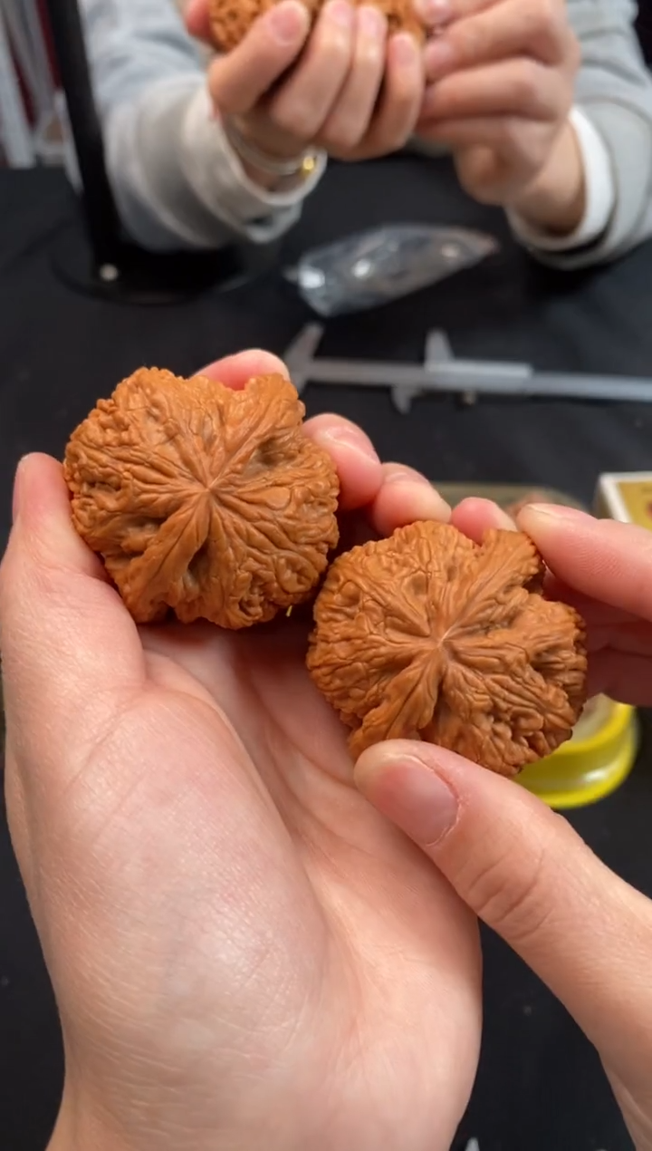 把件文玩核桃小*鱼大粗筋45尺Z035