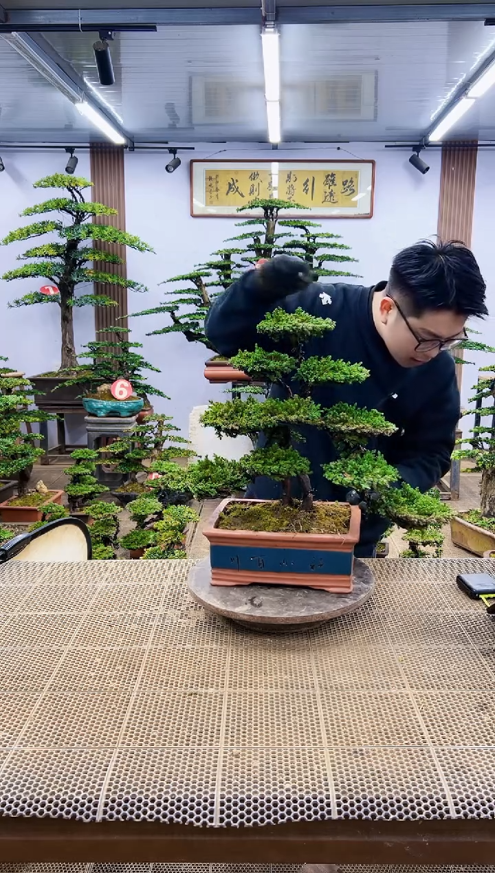 【闪购商品】一物一拍，所见即所得