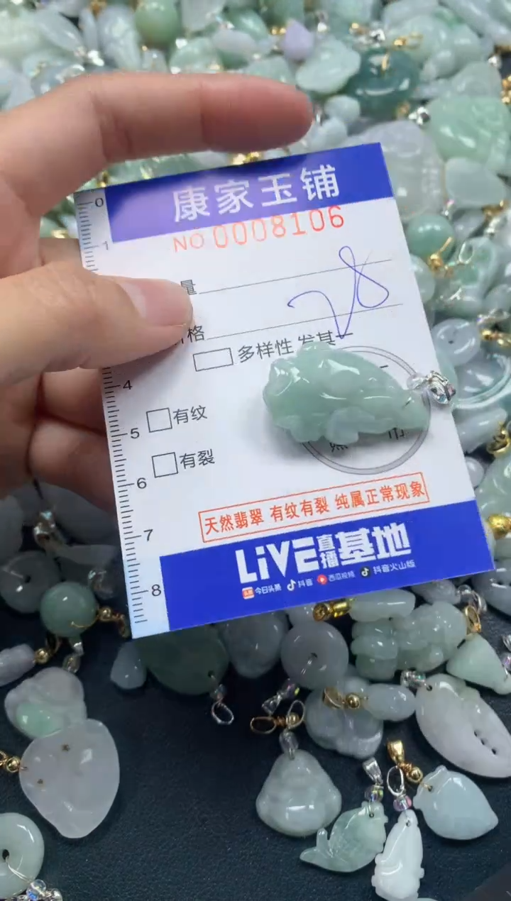 颈饰未镶嵌翡翠8106