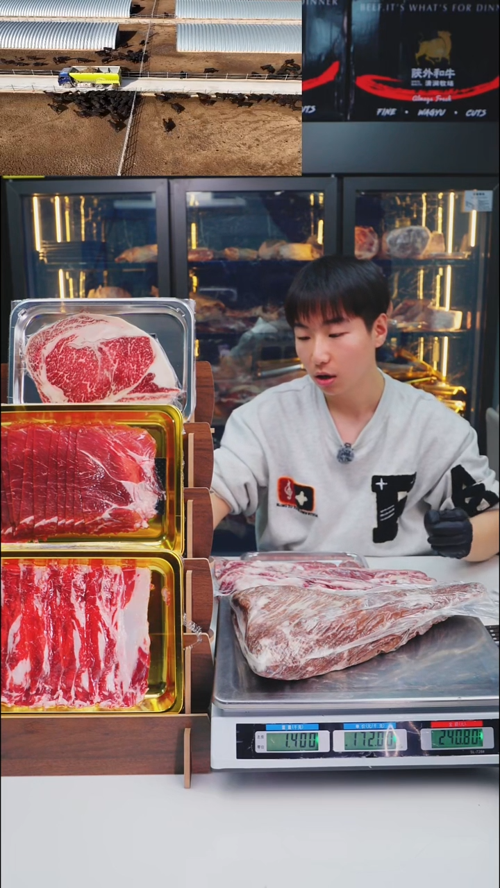 24个月中国大陆散装a1三角牛霖1.4kg  